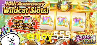 enjoy 555 plataforma